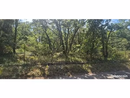 terrain 1 565 m² saint cezaire sur siagne