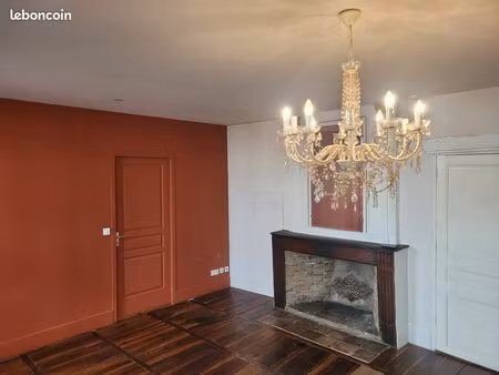 grand t3 de 73 m² plein de cachet — parquet  cheminées & pierre — coeur historique de caho