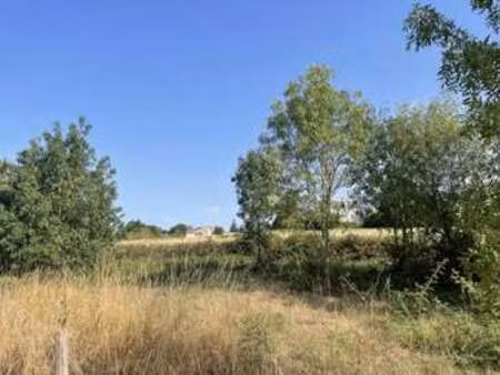 vente terrain à aigrefeuille-sur-maine (44140) : à vendre / 337m² aigrefeuille-sur-maine