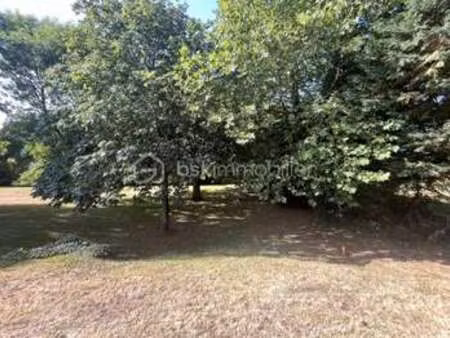 vente terrain à montaigu (85600) : à vendre / 2490m² montaigu