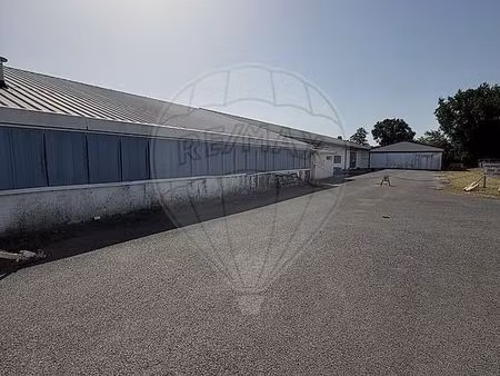local commercial 2 000 m²