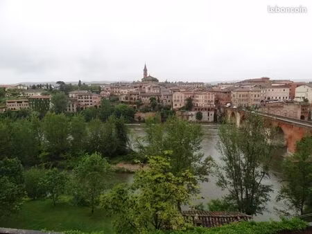 albi centre historique t1 meublé de 30 m2