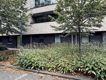 appartement te huur in melsele met 2 slaapkamers