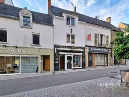 vente immeuble à ploërmel (56800) : à vendre / 247m² ploërmel