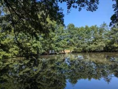 vente terrain à breuil-barret (85120) : à vendre / breuil-barret