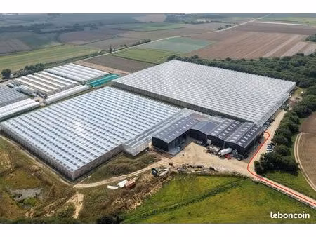 vente exploitation serres de fraises
