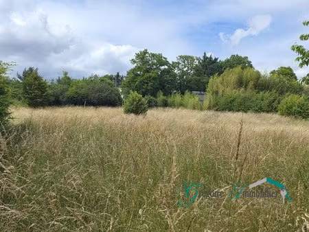 montigny sur loing : terrain à bâtir de 1314 m2