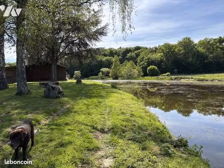 terrain 19500 m² st germain chassenay