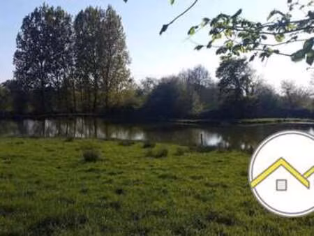 vente terrain à ruffigné (44660) : à vendre / 5915m² ruffigné