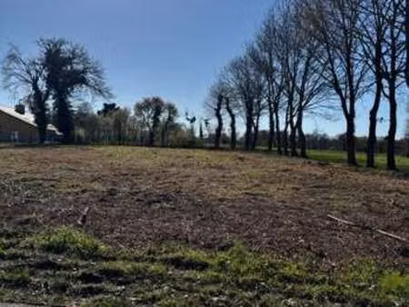 vente maison à la chapelle-thouarault (35590) : à vendre / 200m² la chapelle-thouarault