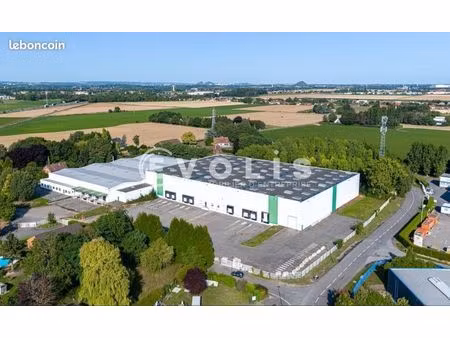 local industriel 5 894 m²