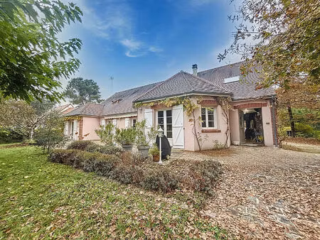 vente maison 6 pièces  166.00m²  ménestreau