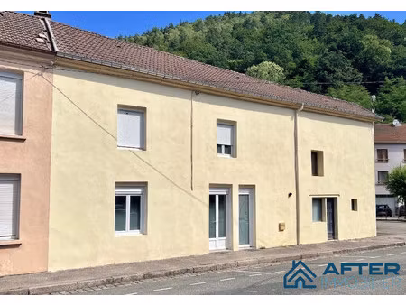 maison à vendre raon-l'étape