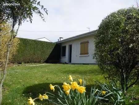 studio à louer à cholet 49300