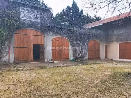 location locaux professionnels 0 pièces 950 m² à jonquieres (84150)  5 500 €