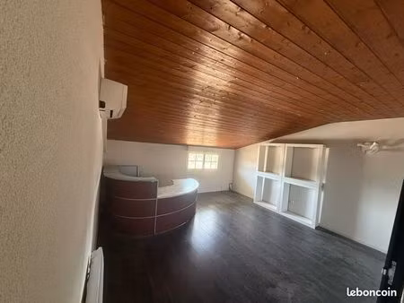 local professionnel heyrieux 160m2/1300