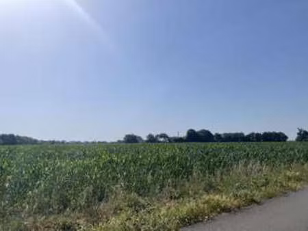 vente terrain à la chevrolière (44118) : à vendre / 360m² la chevrolière