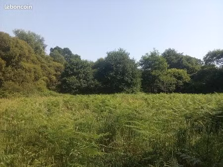 terrain a vendre