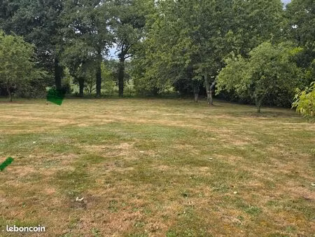 terrain contructible
