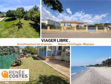 viager libre - f87 ans - poggio mezzana (20230)