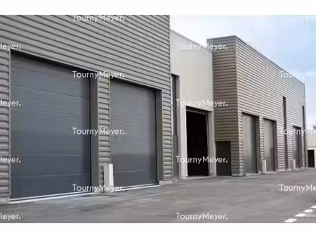 vente local d’activités saint-georges-d’orques 34680 246m² à 757m²