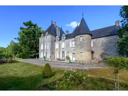 vente manoir la vraie-croix 14 pièces 550 m²