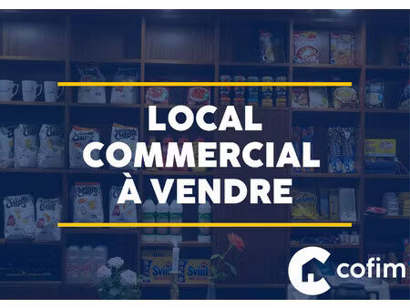 achat local commercial 194m² pau 64000