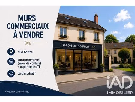 immeuble à le lude (72800)