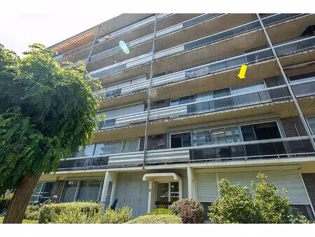 appartement te koop in antwerpen met 3 slaapkamers