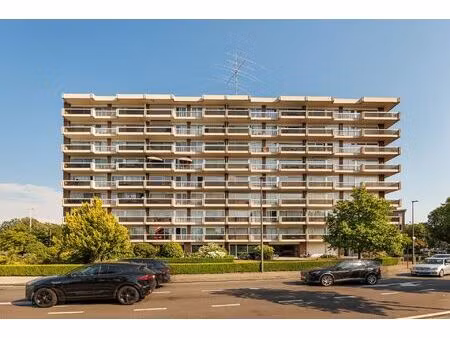 appartement te koop in berchem met 2 slaapkamers