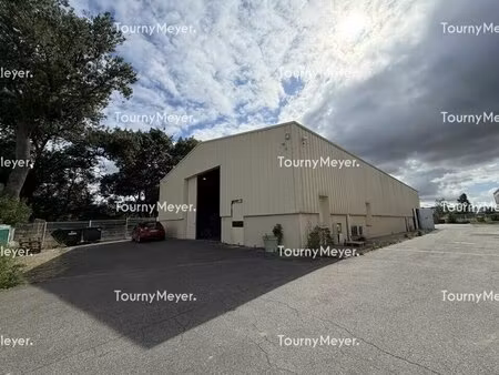 location local d’activités saint orens de gameville 31650 450m²