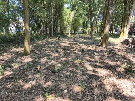 vente terrain 2069 m² saint-augustin (17570)