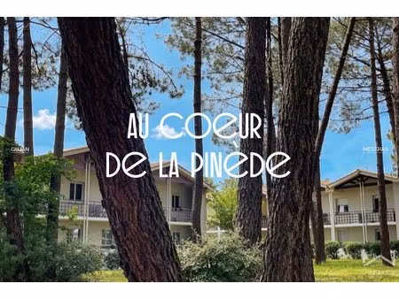 au coeur de la pinède  appartement t2 gujan