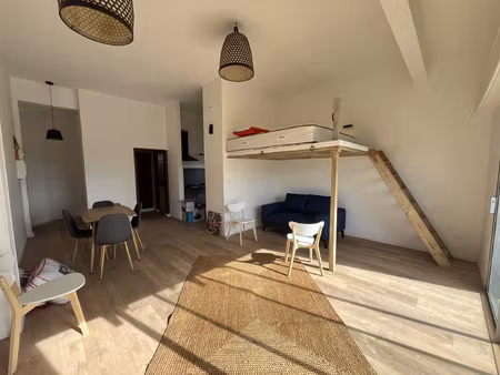 location appartement 1 pièce 40m² st gilles les bains 97434