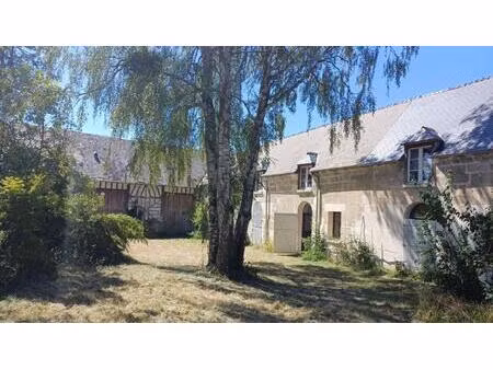 propriete 2 maisons en pierre