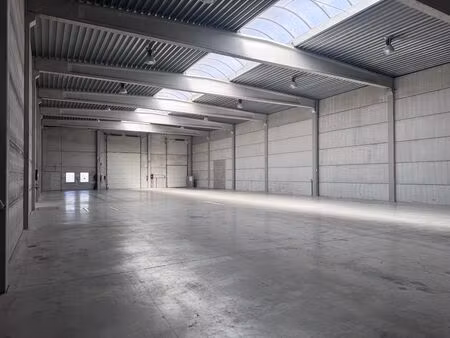 surface industrielle à vendre à eurolaan 2 temse (rbw31287)