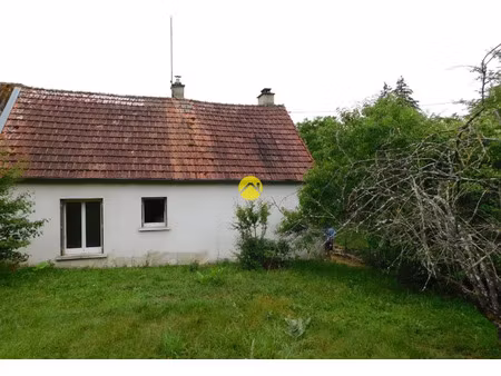 vente maison 3 pièces 10 m² graçay (18310)