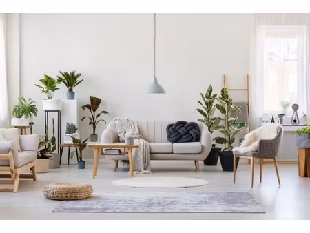 annonce appartement à vendre