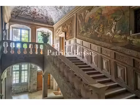 dans la drôme  un appartement dans un château inscrit mh