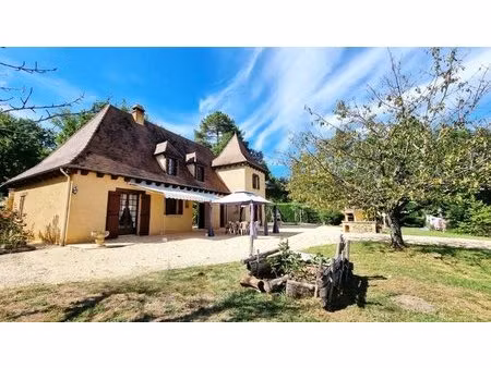 ensemble de 2 maisons sur les hauteurs de sarlat (perigord noir)