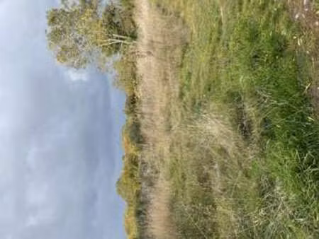 vente terrain à denée (49190) : à vendre / denée