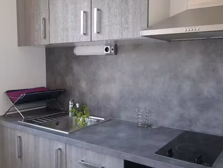 location appartement 1 pièce 30 m² à saint-étienne (42000)