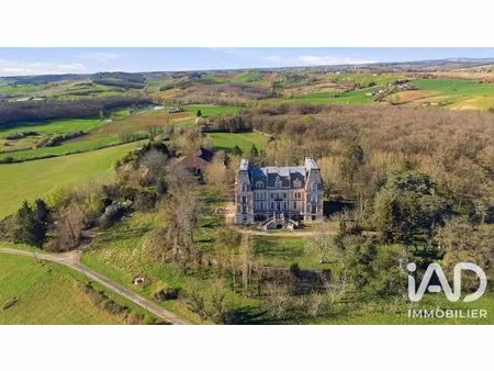 vente château 40 pièces