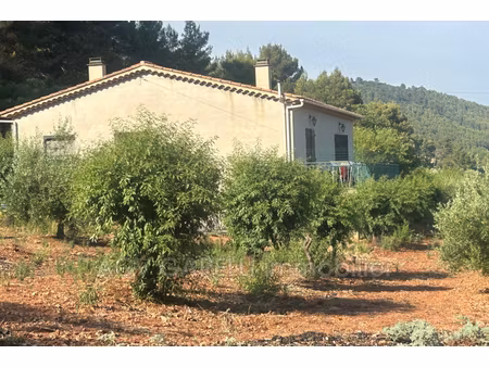 annonce maison à louer
