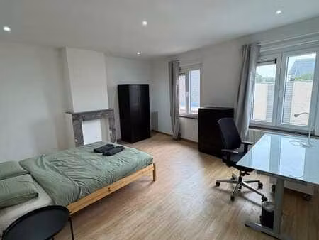 5-bedroom house  central mechelen - pros & students
