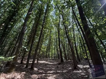 terrain à vendre à houthalen € 5.950 (ljdlg) - meyers vastgoed | zimmo