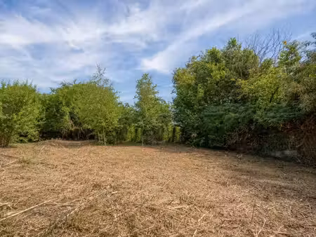 beau terrain de 650 m² à courcelle