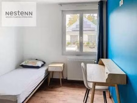 location appartement chambre colocation à angers belle beille (49000) : à louer chambre co