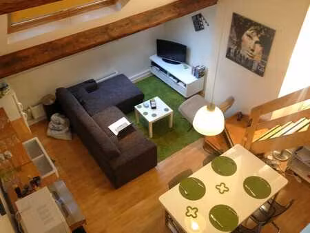 superbe appartement en mezzanine