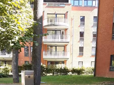 appartement 1 chambre au centre-ville de marche-en-famenne